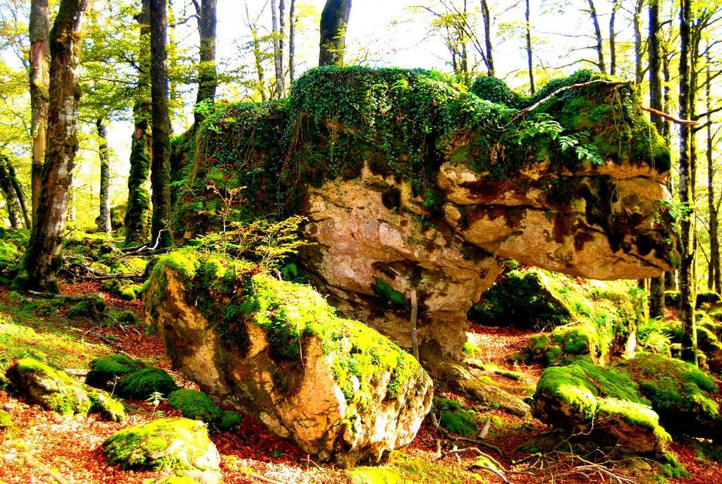 La Aldaia De Urbasa Villa Eulate Exteriör bild